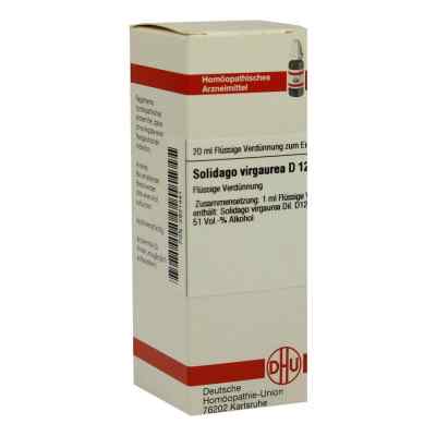 Solidago Virgaurea D12 Dilution 20 ml von DHU-Arzneimittel GmbH & Co. KG PZN 02931441