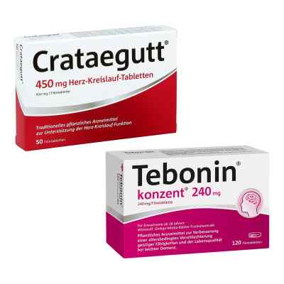 Tebonin konzent und Crataegutt 450 mg 